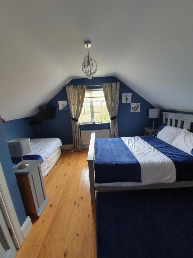 Highfield House Bed And Breakfast Collinstown Collinstown  Bagian luar foto