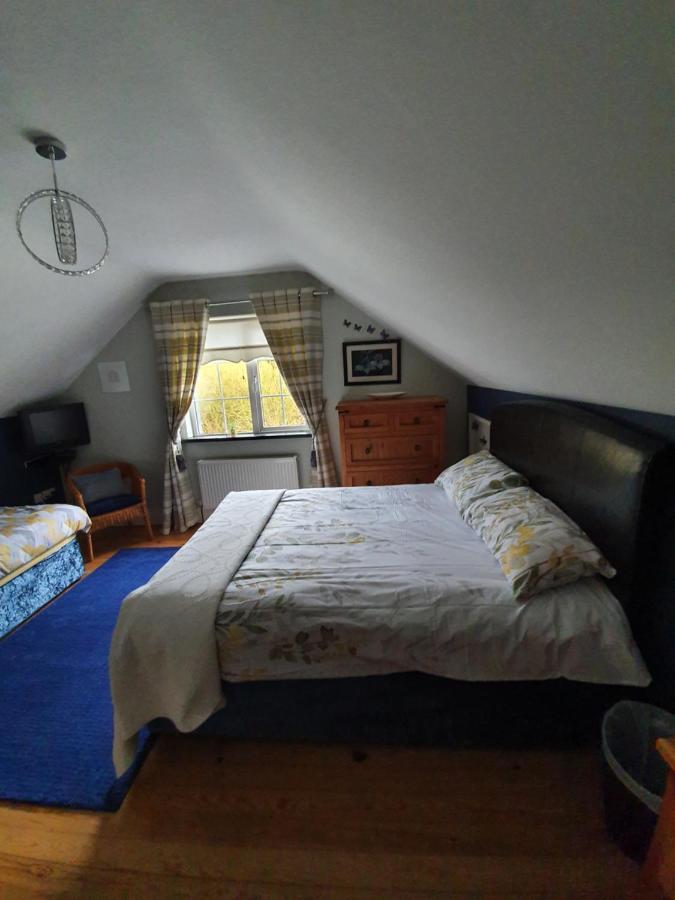 Highfield House Bed And Breakfast Collinstown Collinstown  Bagian luar foto