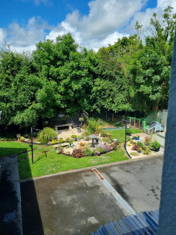 Highfield House Bed And Breakfast Collinstown Collinstown  Bagian luar foto