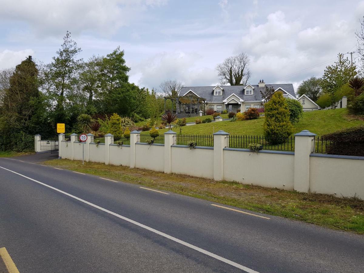 Highfield House Bed And Breakfast Collinstown Collinstown  Bagian luar foto