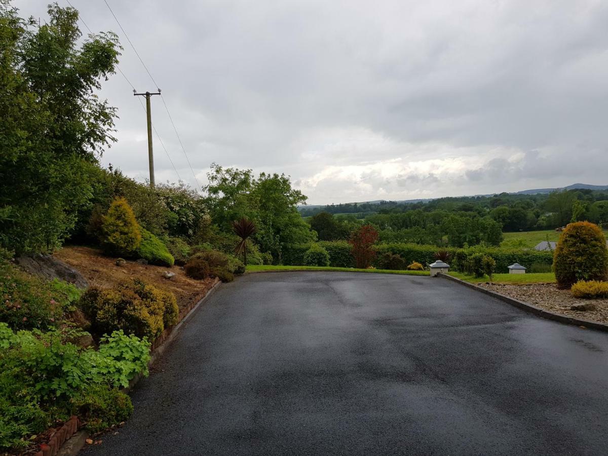 Highfield House Bed And Breakfast Collinstown Collinstown  Bagian luar foto